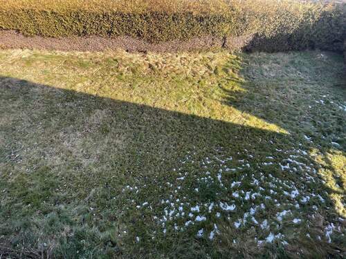 Blick in den Garten - 