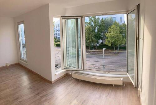 Schafzimmer Abendsonne - 