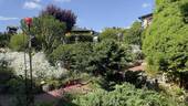 Gartenparadies - 