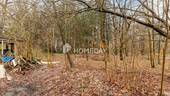 Garten - Mehrfamilienhaus, Wohnhaus mit 605,00 m² in Großenkneten zum Kaufen