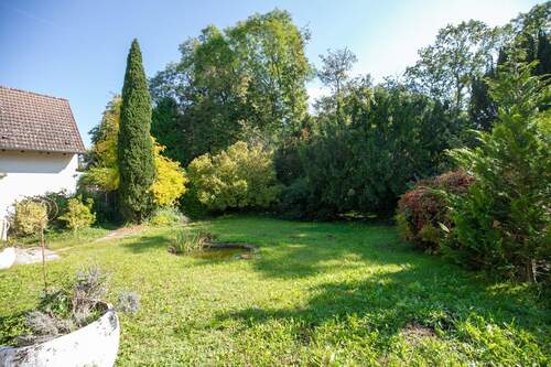 weitläufiger Garten - 