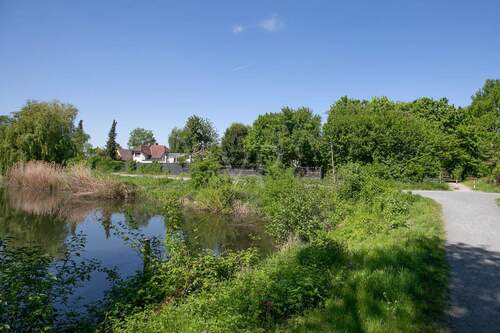 unmittelbare Naturlage (I) - 