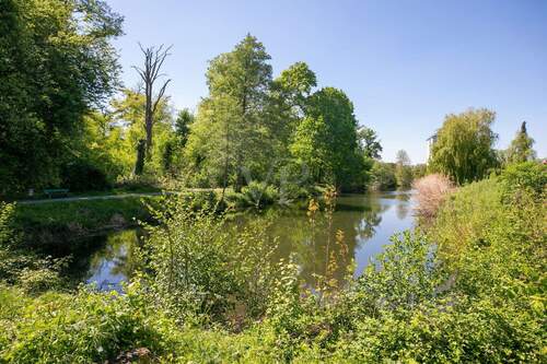 unmittelbare Naturlage (II) - 