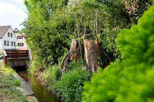 Hier gibt es vieles zu entdecken - 4 Zimmer Terrassenwohnung in Nürnberg