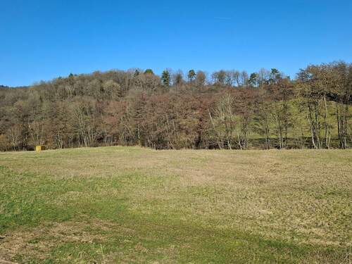 20260305_143742.jpg - 