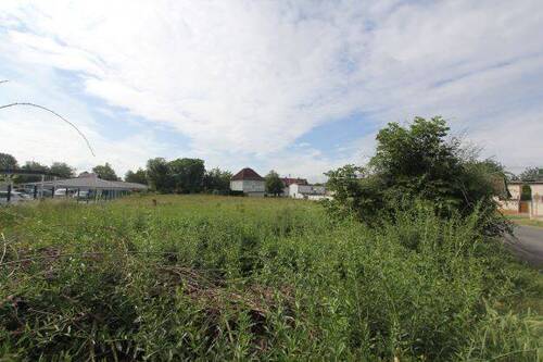 Ansicht - Bauträgerfreier Grundstück in Steuden