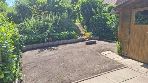 Garten Rasen neu - 