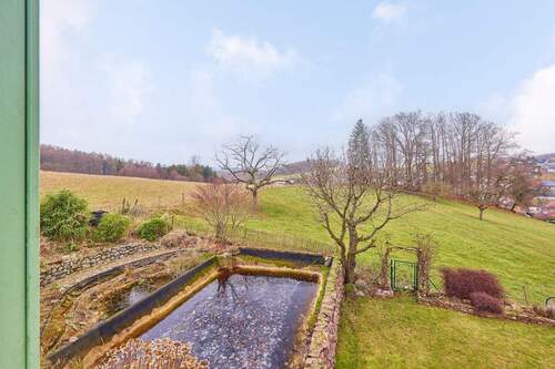 Schwimmteich und Garten - 