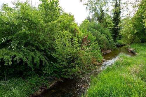 Fast vor der Haustür - 2 Zimmer Terrassenwohnung in Nürnberg