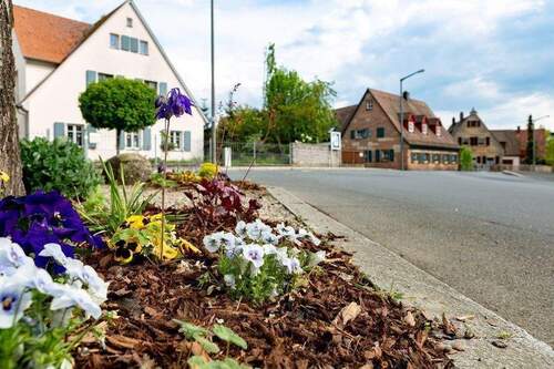 Idylle statt Großstadt - 