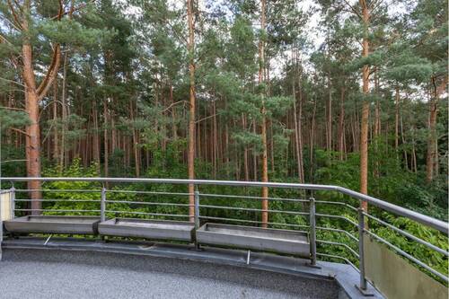 Der Wald direkt vor dem Balkon - 3 Zimmer Etagenwohnung zum Kaufen in Neuseddin