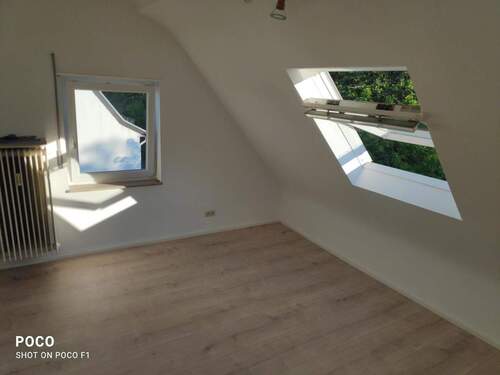 Zimmer DG - 