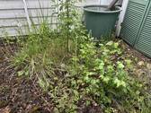 Kleiner Innenhof - 