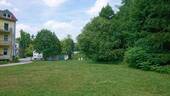 Wiese - 