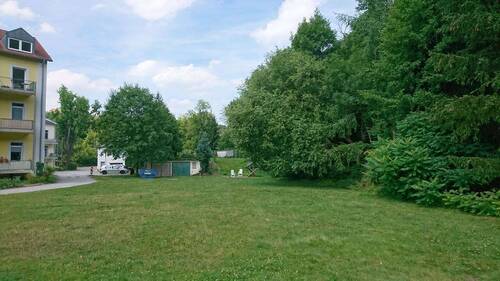 Wiese - 