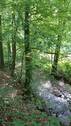 Lockwitzbach - 