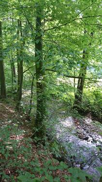 Lockwitzbach - 