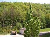Blick vom Balkon - 