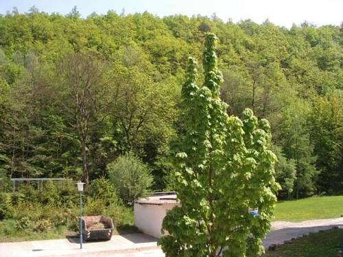 Blick vom Balkon - 