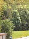Blick vom Balkon - 