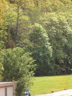 Blick vom Balkon - 