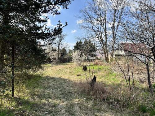 Blick aufs Grundstück - 