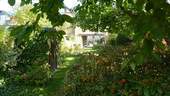 Hinteransicht, Garten - 