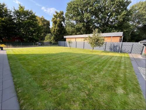 Blick in den Garten - 