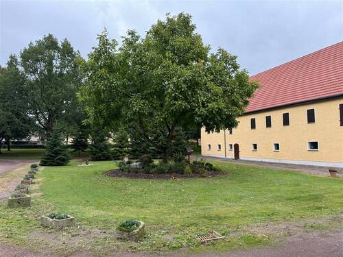 IMG_0481(1) - 