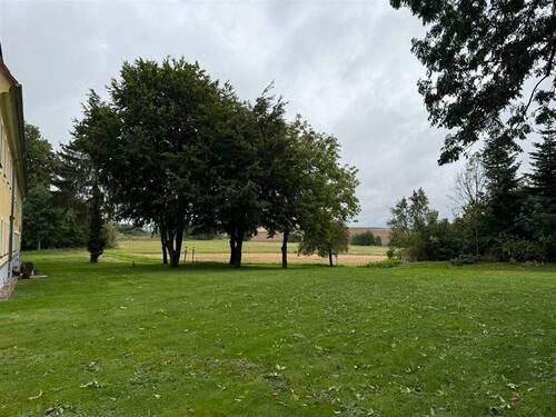 IMG_0484(1) - 
