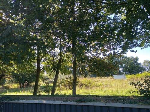 Blick über den Gartenzaun - 