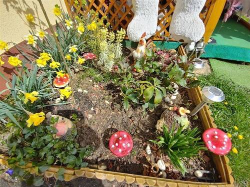 20230326_130908_HDR - 