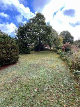 Blick in den Garten - 