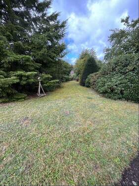 Blick in den Garten - 