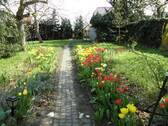 Garten im Sommer - 