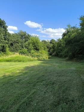 IMG-20250707-WA0010 - 