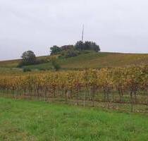 PROVISIONSFREI > 827qm Eckbauplatz aus 1972 - Hackenheim