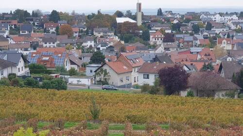 Blick vom Kirchberg - Grundstück zum Kaufen in Hackenheim