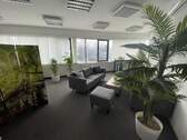 Modernes Büro mit Pflanzen - 