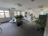Helles Büro mit Pflanzen - 