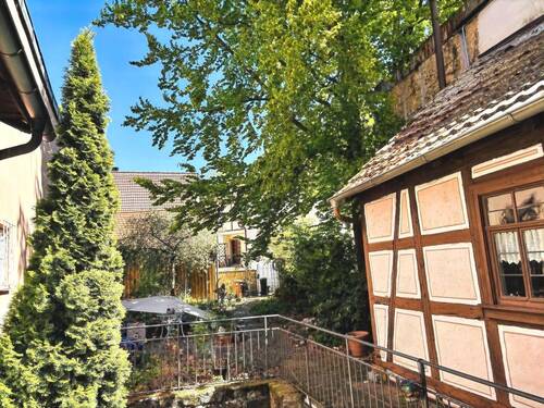 Blick vom Haus zum Garten auf der Ostseite - 