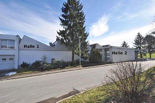 Halle 1+2 Neukirch - Halle in Neukirch