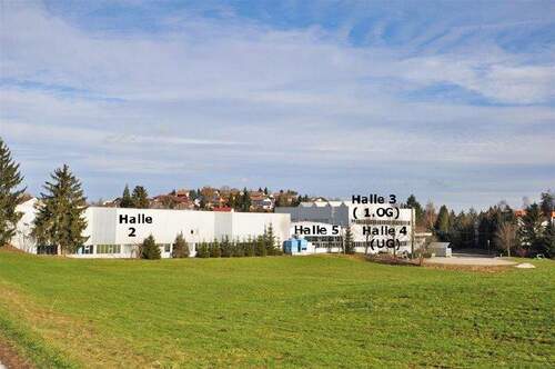 Südansicht hinten - Halle in Neukirch zur Miete