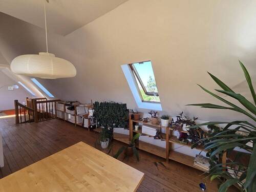 Galerie (4) - 