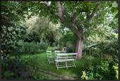 Im Garten - 