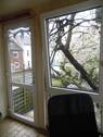 SAM_1674.JPG - 