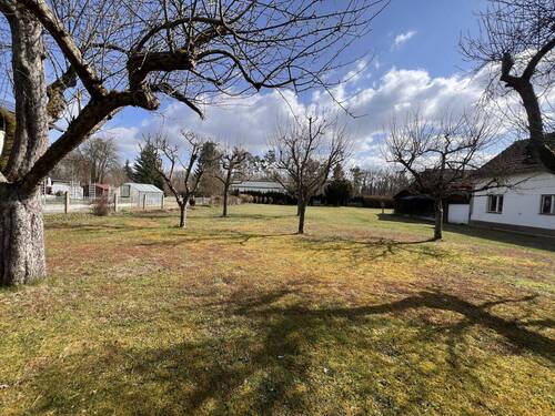 Parkähnliches Grundstück mit etabliertem Baumbestand und vielfältigen Nutzungsmöglichkeiten - 