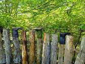 Impressionen - 