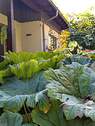 Natur pur - 6 Zimmer Mehrfamilienhaus, Wohnhaus zum Kaufen in Spraitbach