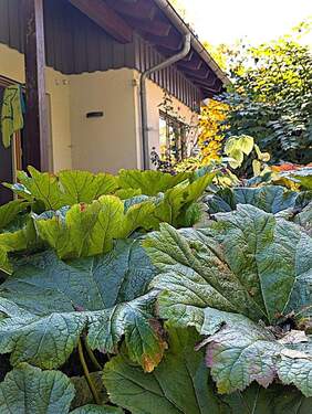 Natur pur - 6 Zimmer Mehrfamilienhaus, Wohnhaus zum Kaufen in Spraitbach